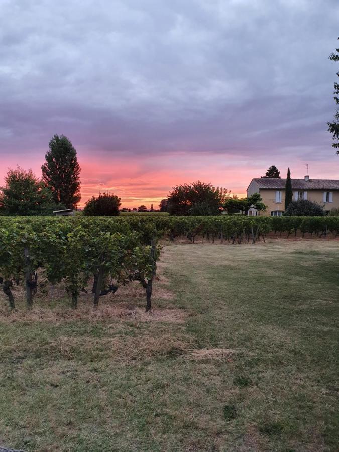 299 Bigaroux Otel Saint-Émilion Dış mekan fotoğraf